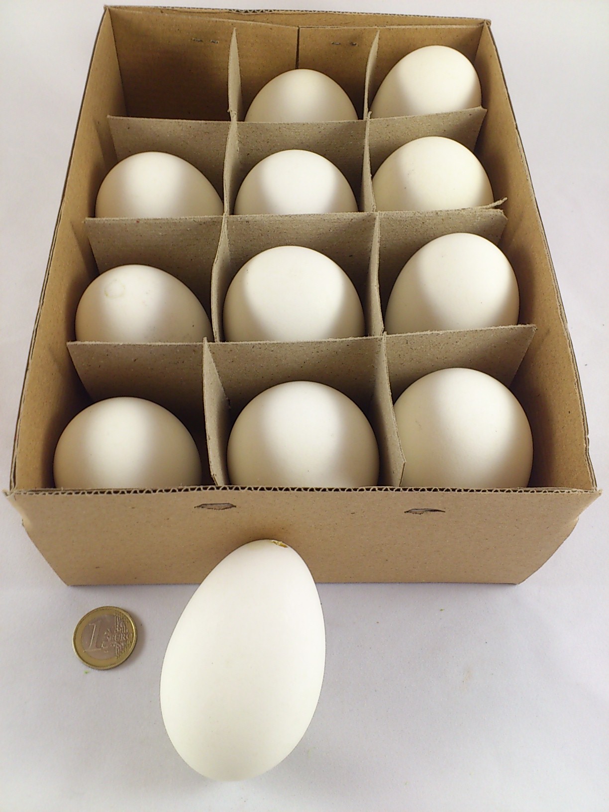 Goose eggs 12 p.